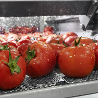 Masini curatare fructe si legume