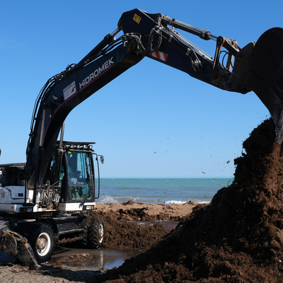 excavatoare